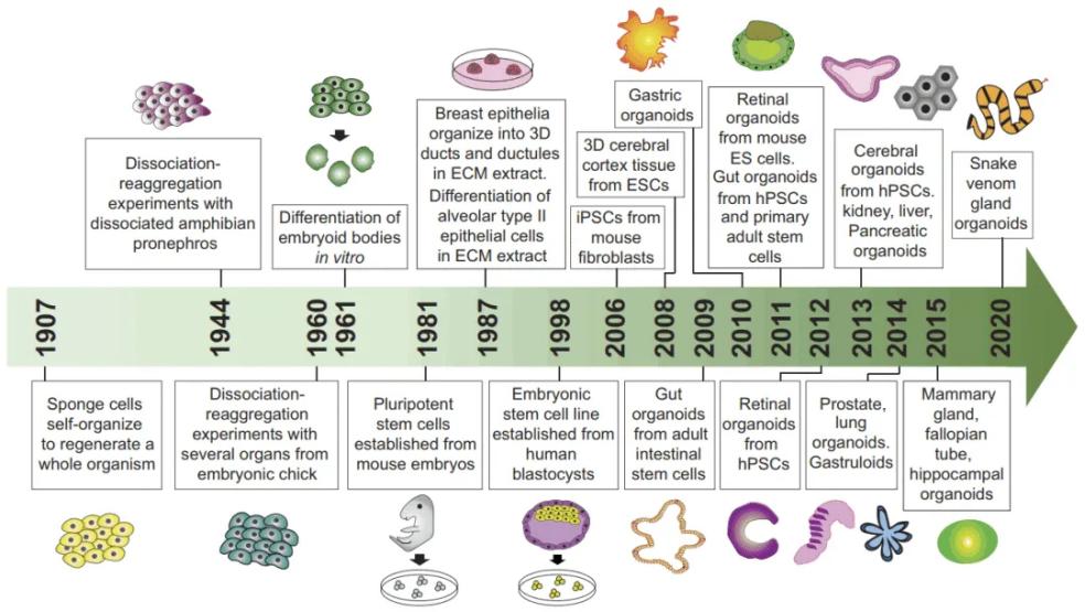/uploads/image/2025/09/04/Cellstore-20250904-1.jpg Cellstore-20250904-1.jpg