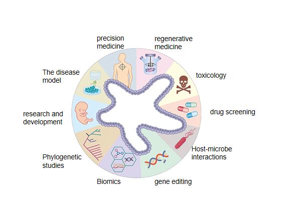 /uploads/image/2025/09/04/Cellstore-20250904-3.jpg Cellstore-20250904-3.jpg