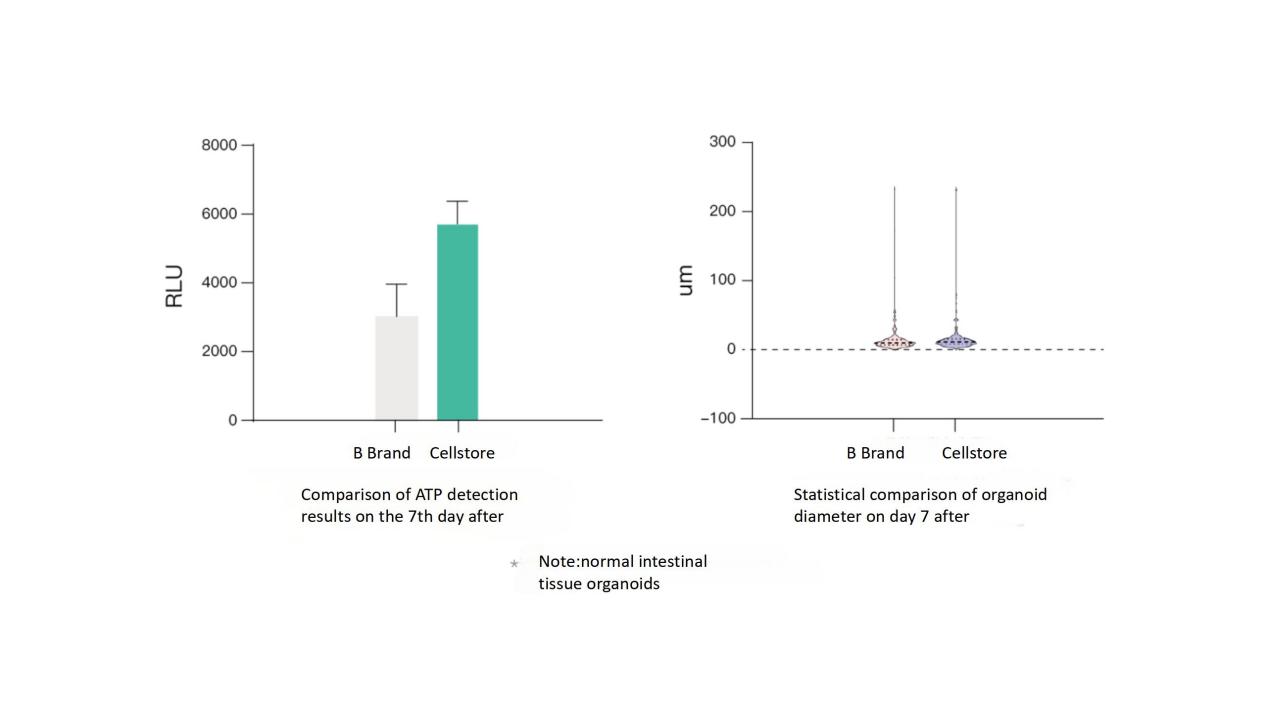 /uploads/image/2025/09/04/Cellstore-20250904-6.jpg Cellstore-20250904-6.jpg