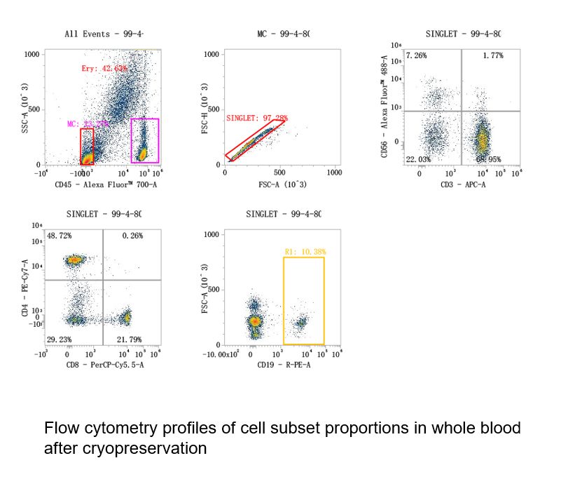 direct-freezing-of-whole-blood-application-02.jpg direct-freezing-of-whole-blood-application-02.jpg